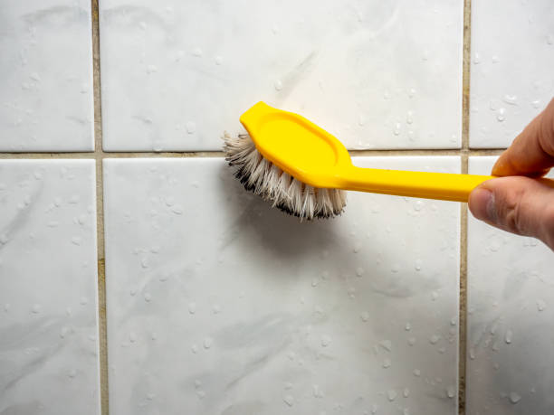 Best Certified Mold Removal  in Jasper, TX