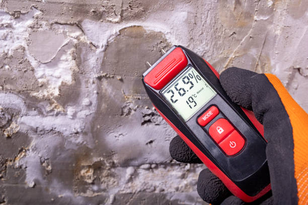 Best Mold Testing  in Jasper, TX